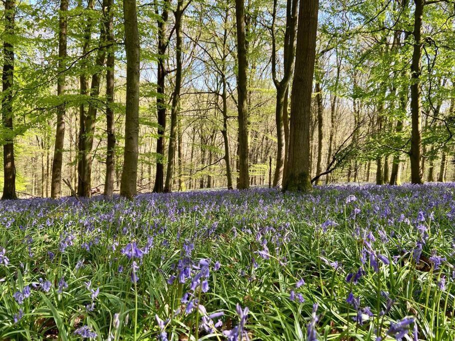 The Mill Stylish Rural Apartment With Beautiful Views Welsh Newton Common Eksteriør billede