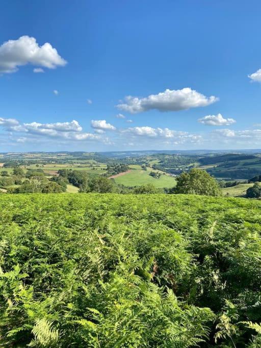 The Mill Stylish Rural Apartment With Beautiful Views Welsh Newton Common Eksteriør billede